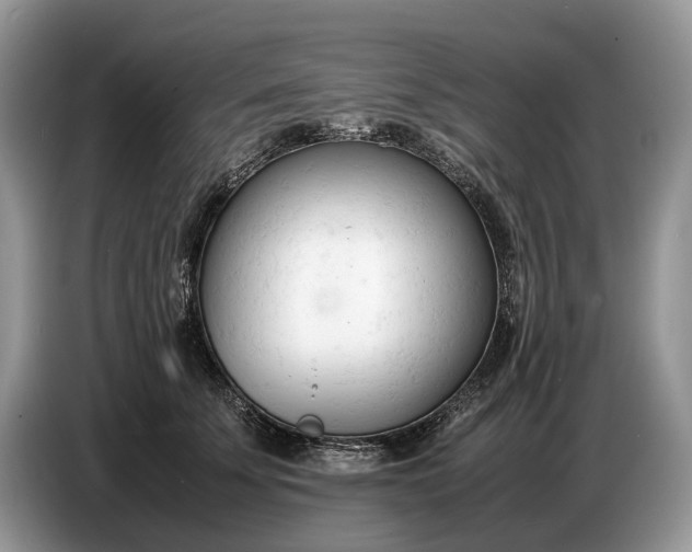 X0000086720707200704271611