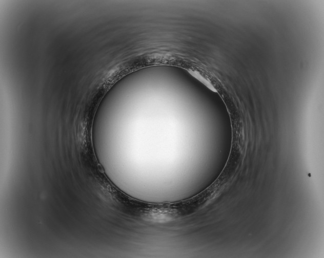X0000086720708200704271611