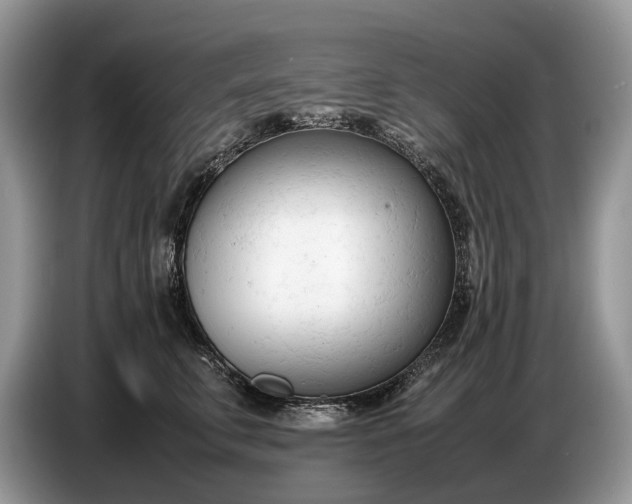 X0000086720711200704271611