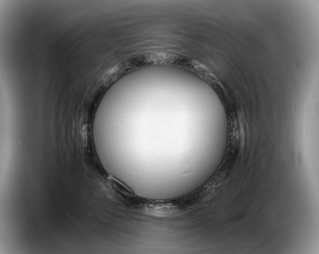 X0000086720716200704271610