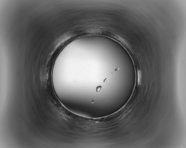 X0000086720723200704271610