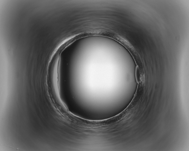 X0000086720724200704271610