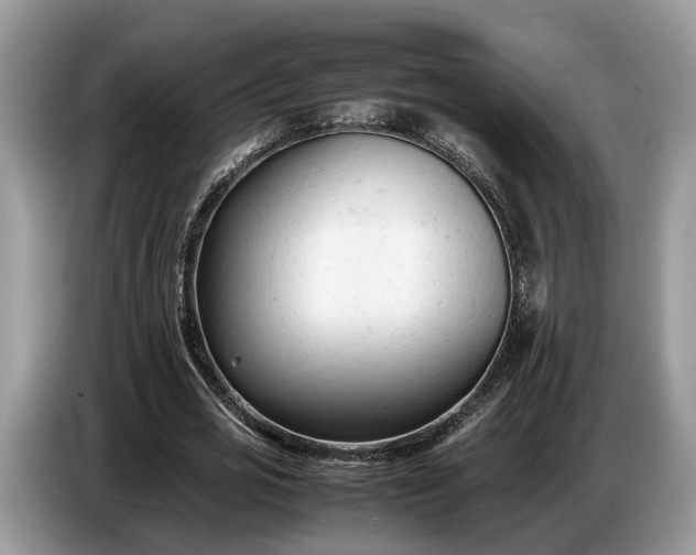 X0000086720725200704271610