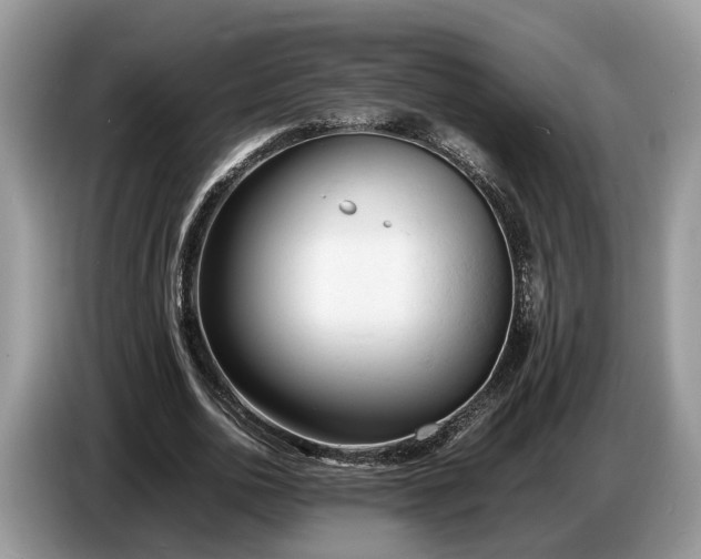 X0000086720726200704271610