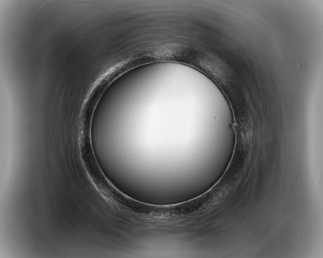 X0000086720728200704271610