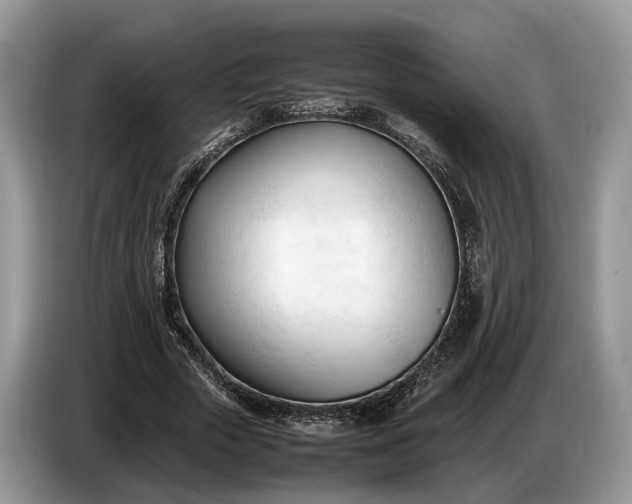 X0000086720729200704271610