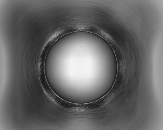 X0000086720730200704271610