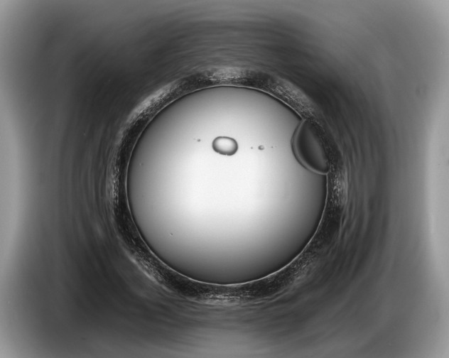 X0000086720732200704271610