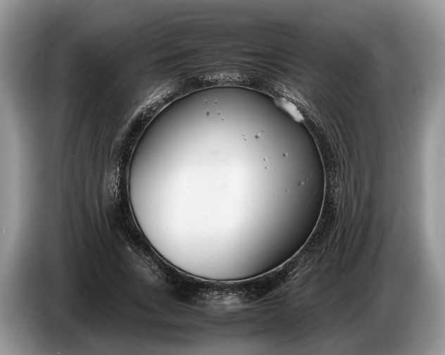 X0000086720735200704271610