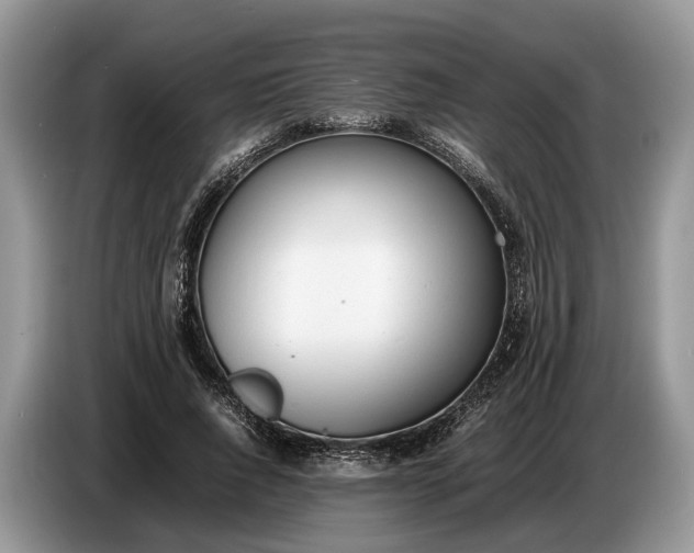 X0000086720736200704271610