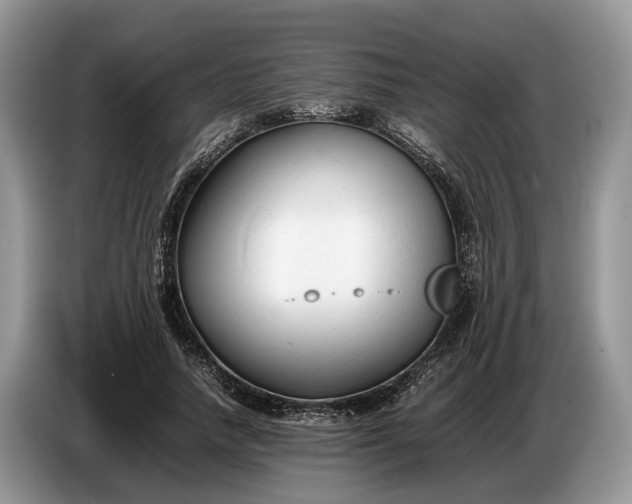 X0000086720738200704271610