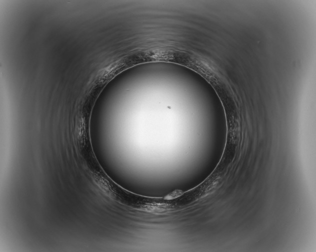 X0000086720748200704271610