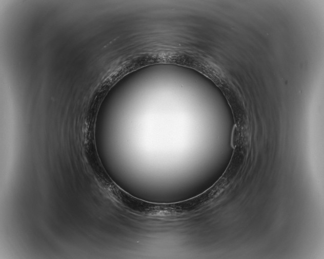 X0000086720750200704271610