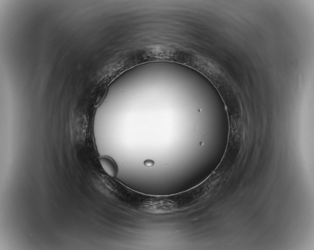 X0000086720752200704271610