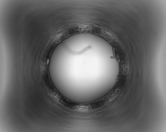 X0000086720756200704271610
