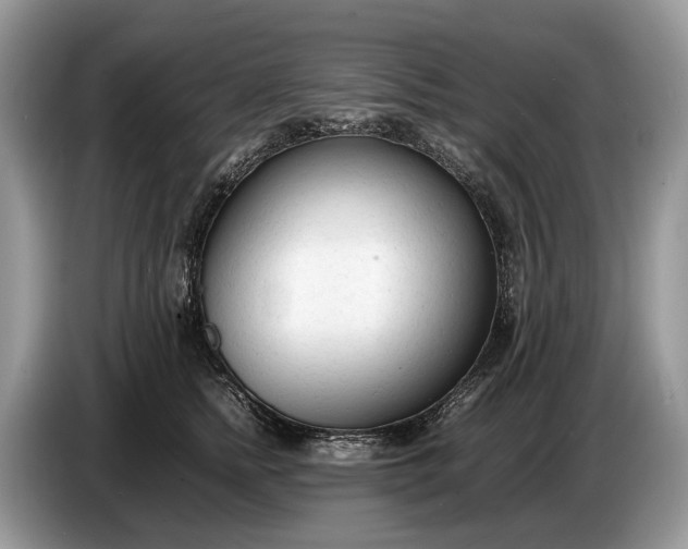 X0000086720758200704271610