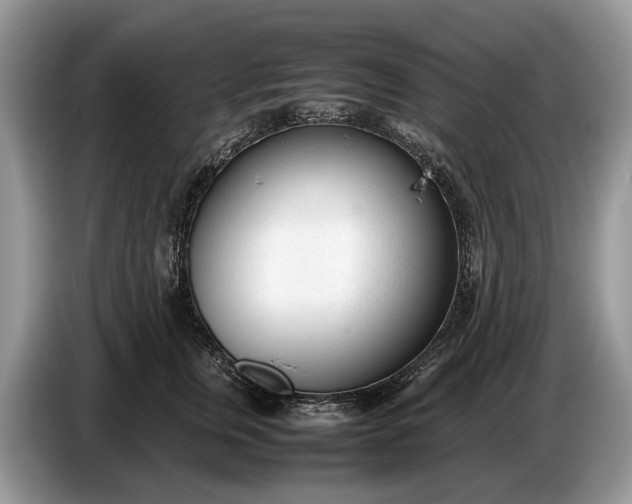 X0000086720759200704271610