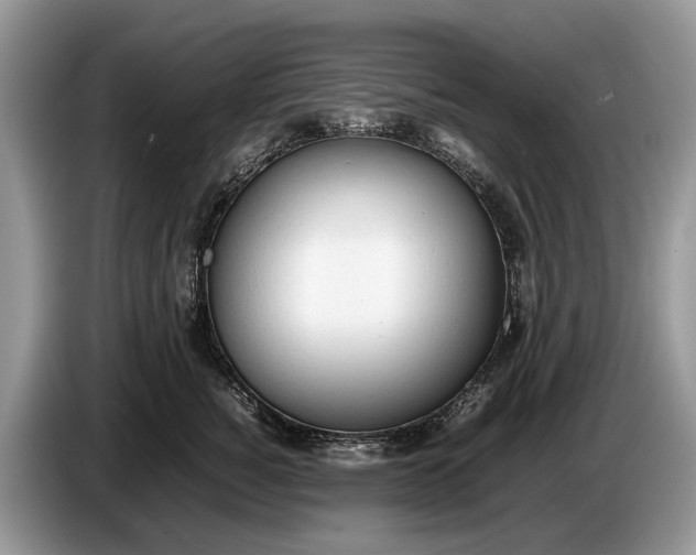 X0000086720760200704271610