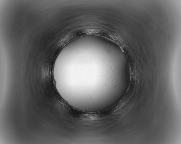 X0000086720763200704271610