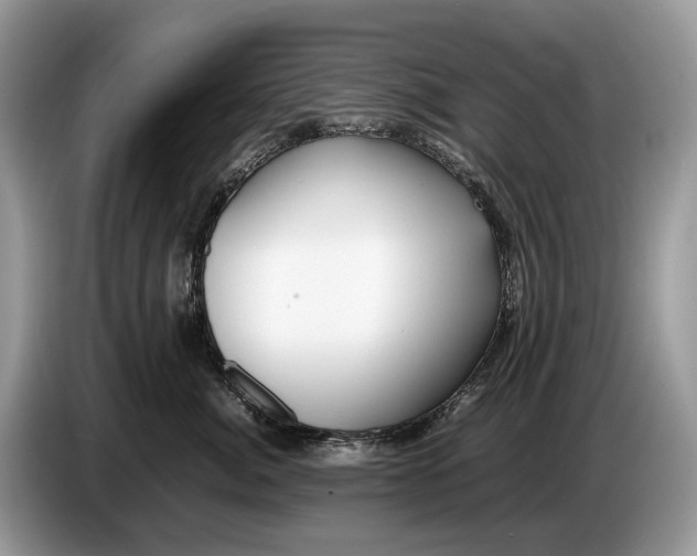 X0000086720764200704271610