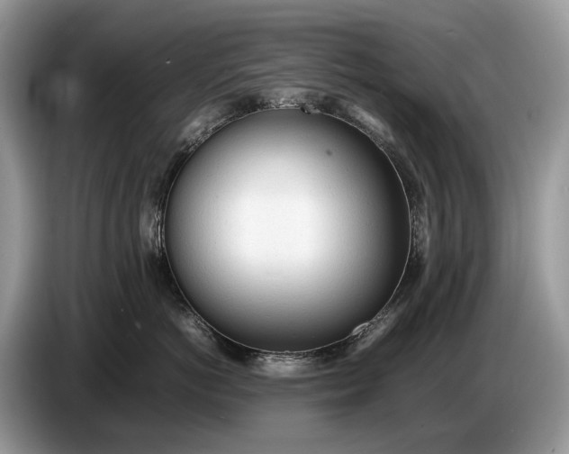 X0000086720766200704271610