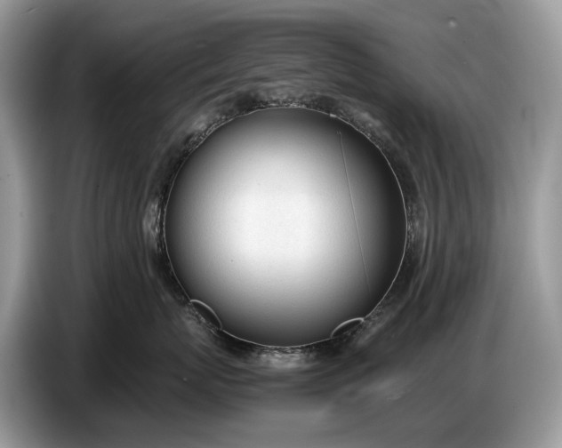 X0000086720767200704271610