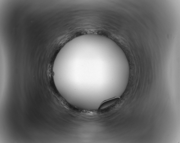 X0000086720768200704271610