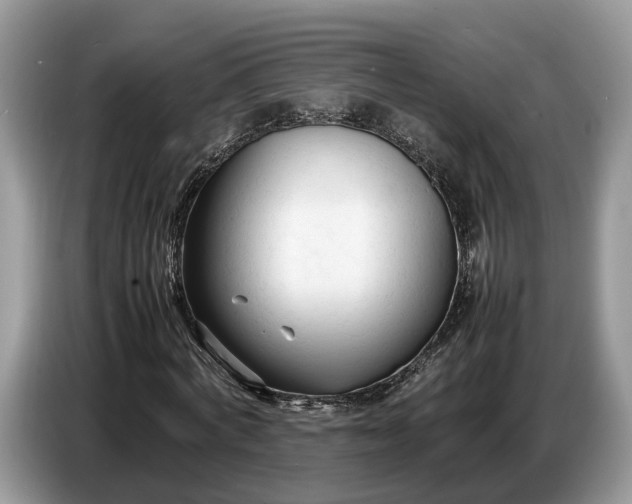 X0000086720772200704271610