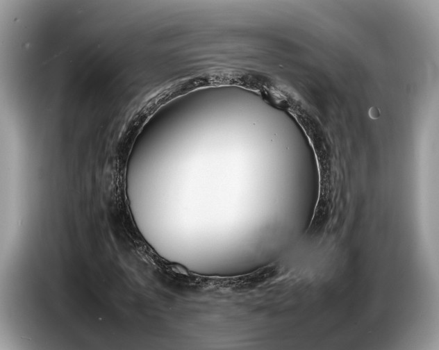 X0000086720773200704271610