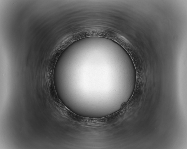 X0000086720774200704271610