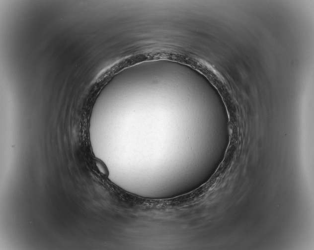 X0000086720775200704271610