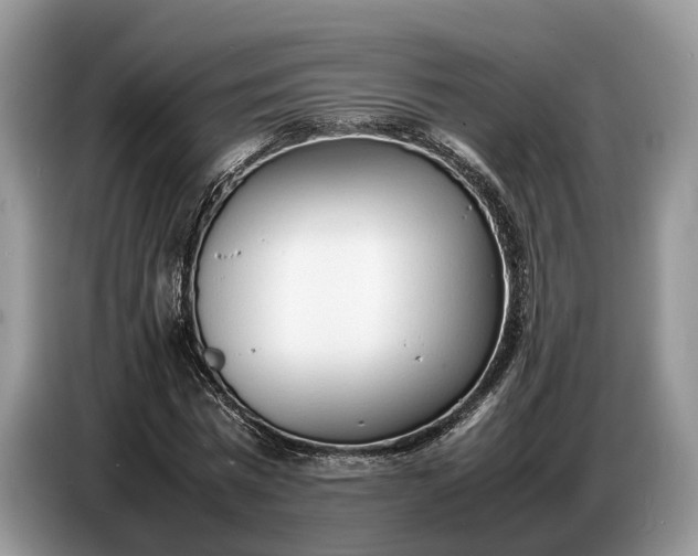 X0000086720777200704271610