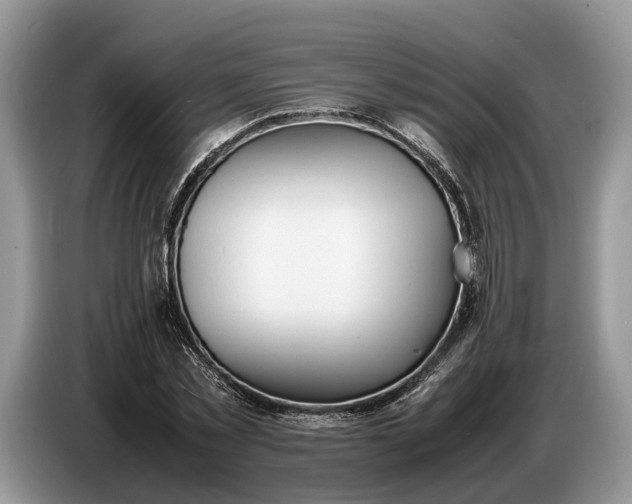 X0000086720781200704271610