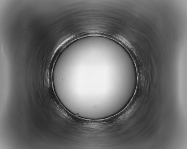 X0000086720782200704271610