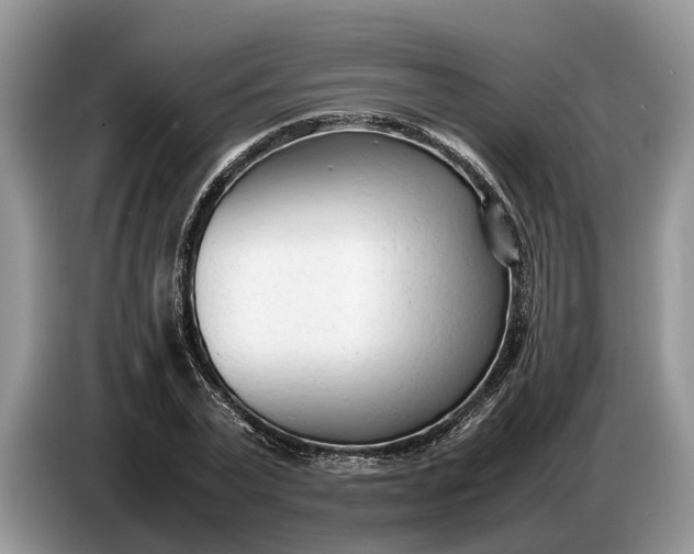 X0000086720783200704271610