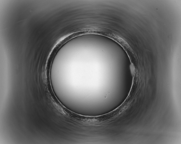X0000086720784200704271610
