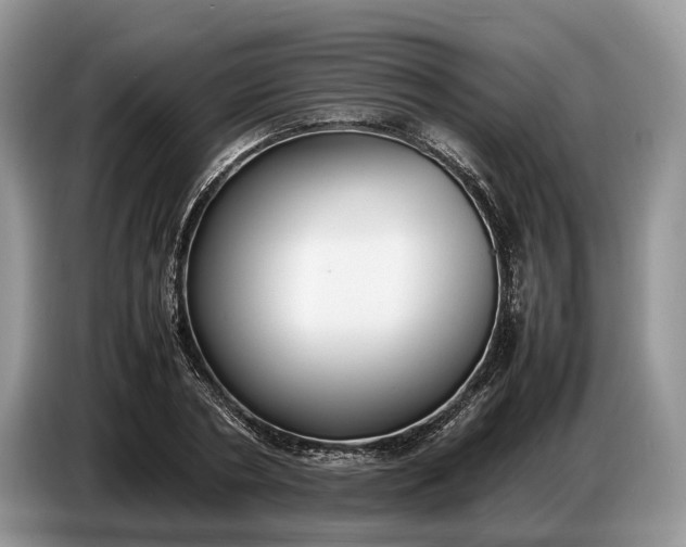 X0000086720786200704271610