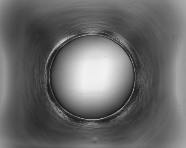 X0000086720787200704271610