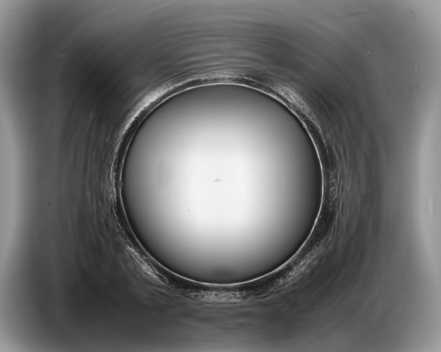 X0000086720789200704271610