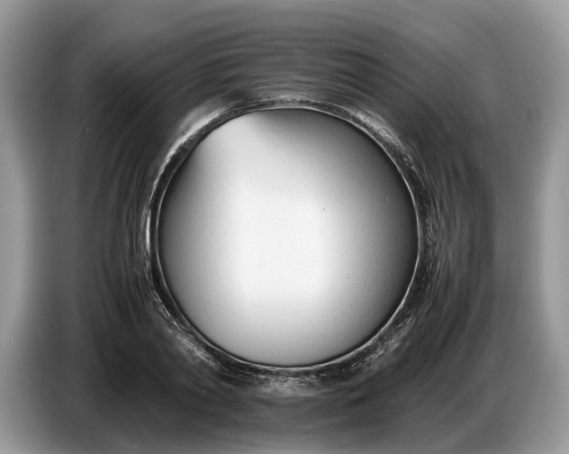 X0000086720790200704271609