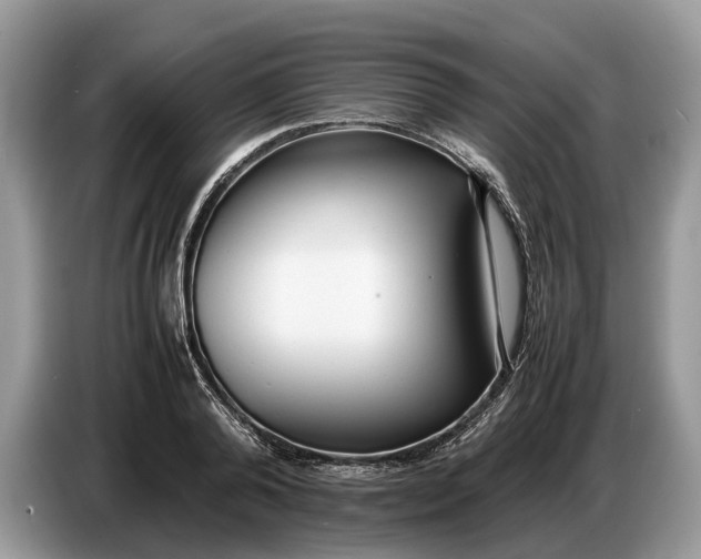 X0000086720792200704271609