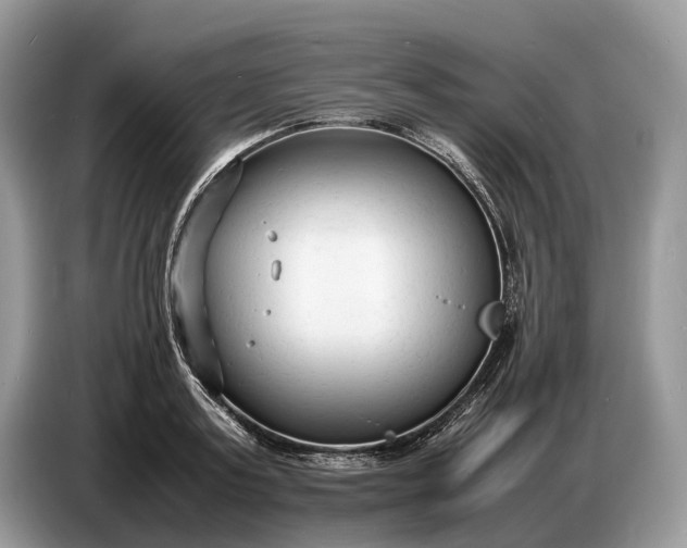 X0000086720795200704271609