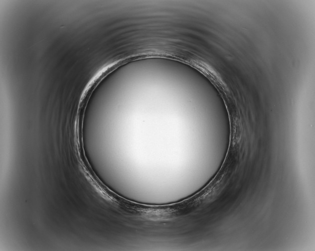 X0000086720796200704271609