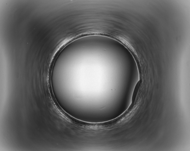 X0000086720797200704271609