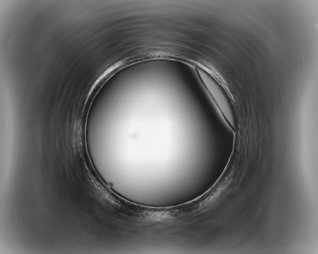 X0000086720798200704271609