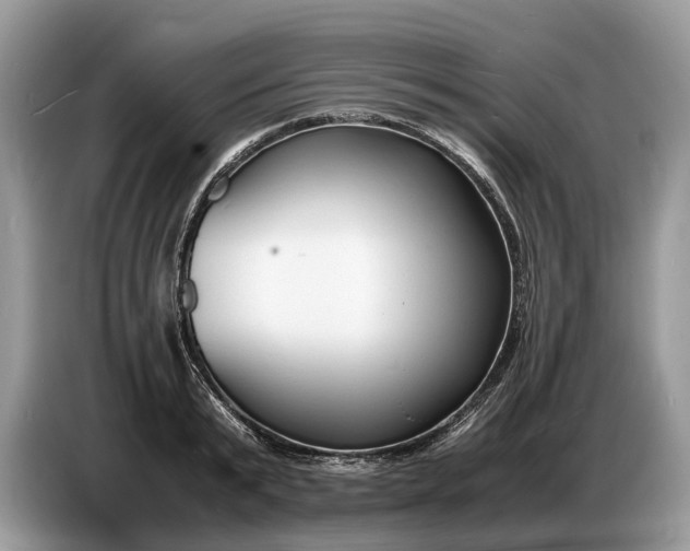 X0000086720799200704271609