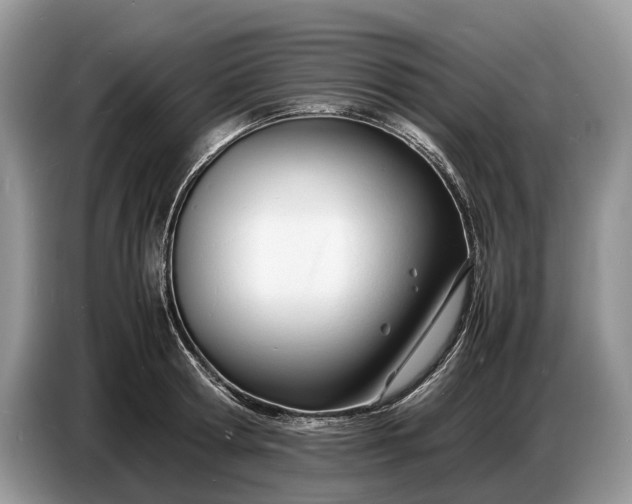 X0000086720802200704271609