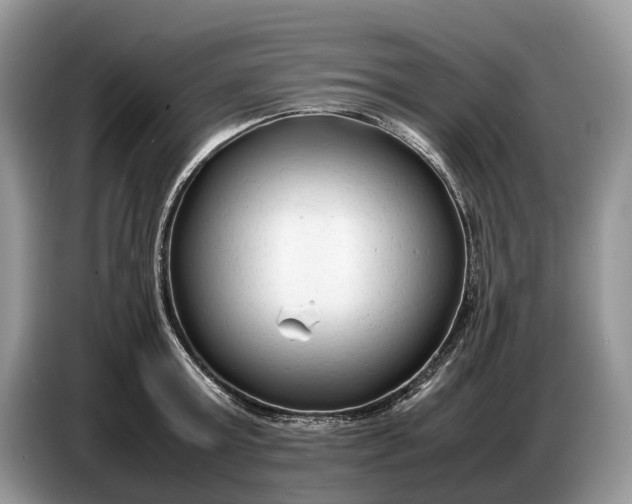X0000086720803200704271609