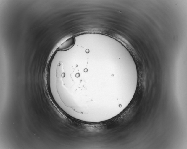 X0000086720804200704271609
