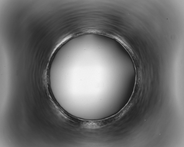X0000086720806200704271609